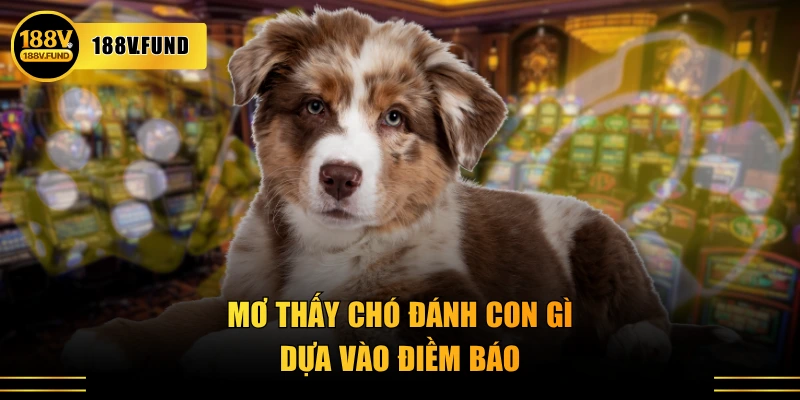Mơ thấy chó đánh con gì dựa vào điềm báo